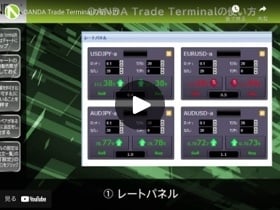 OANDA Trade Terminalの使い方